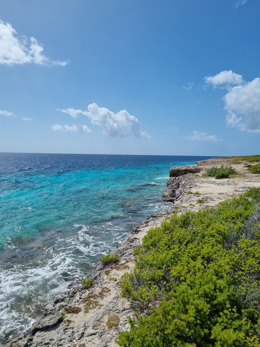 MikeeNL's tweet photo. Wat foto's van mijn noordelijke route vandaag. #1000steps #Karpata en #Gotomeer. Prachtig! #bonaire https://t.co/95iaBxhlBg