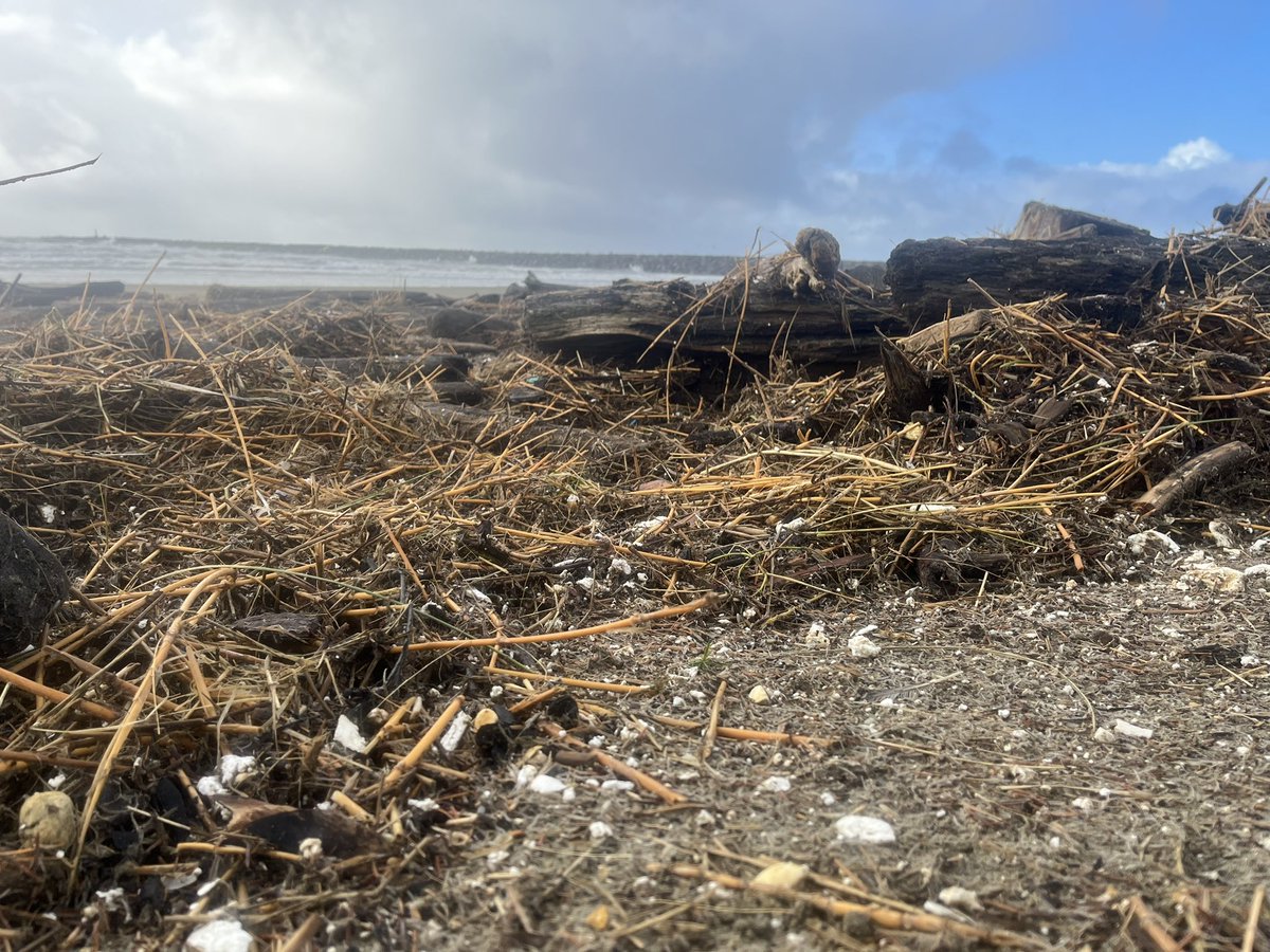 oregonsurfrider's tweet photo. 2/4 https://t.co/TJ4SrBBEml