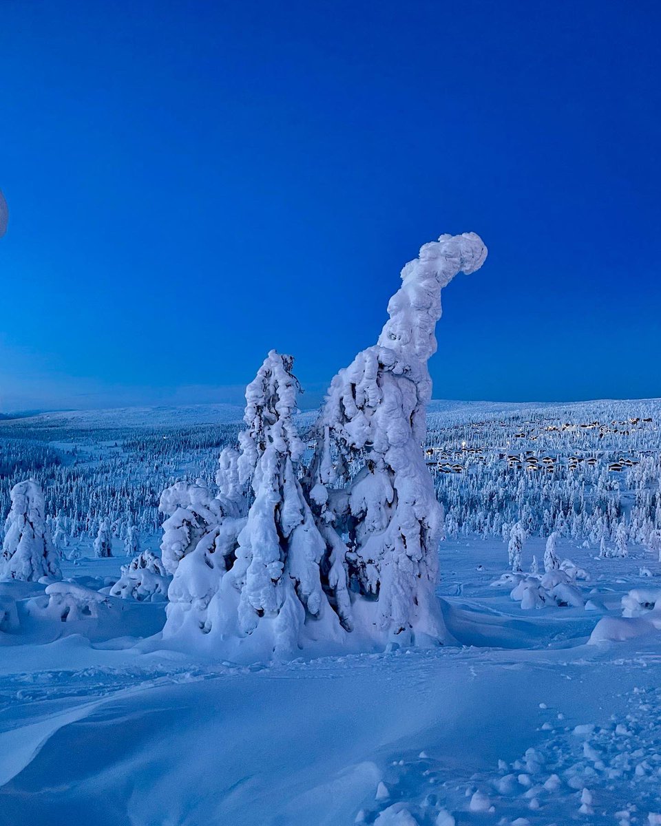 ElisabetEngberg's tweet photo. 27,28,29. Inte mycket som är bättre än det här… Kanske #ingenting eller säkert #någonting men #belåten är jag hur som helst efter att igår vara klar med årets ekonomi o bokföring som kassör för LR. Så nu några välbehövliga dagar för vila och återhämtning 💙
#vinterpåminplanet ❄️ https://t.co/PMUaCgB7S1
