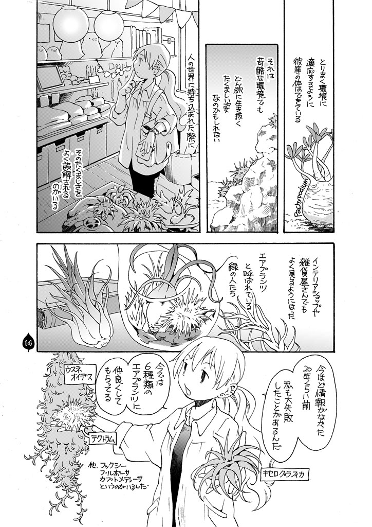 誤解されがちな「エアプランツ」

#漫画が読めるハッシュタグ
緑に囲まれた暮らしに憧れる作者の実体験による「園芸」エッセイ漫画を多数の #電子書籍 ストアにて #BLIC出版 より配信開始。
#まるかふぇ電書 #ブリック出版
「もの言わぬ緑は賑やかに申す」
https://t.co/gq3wxD52rf 