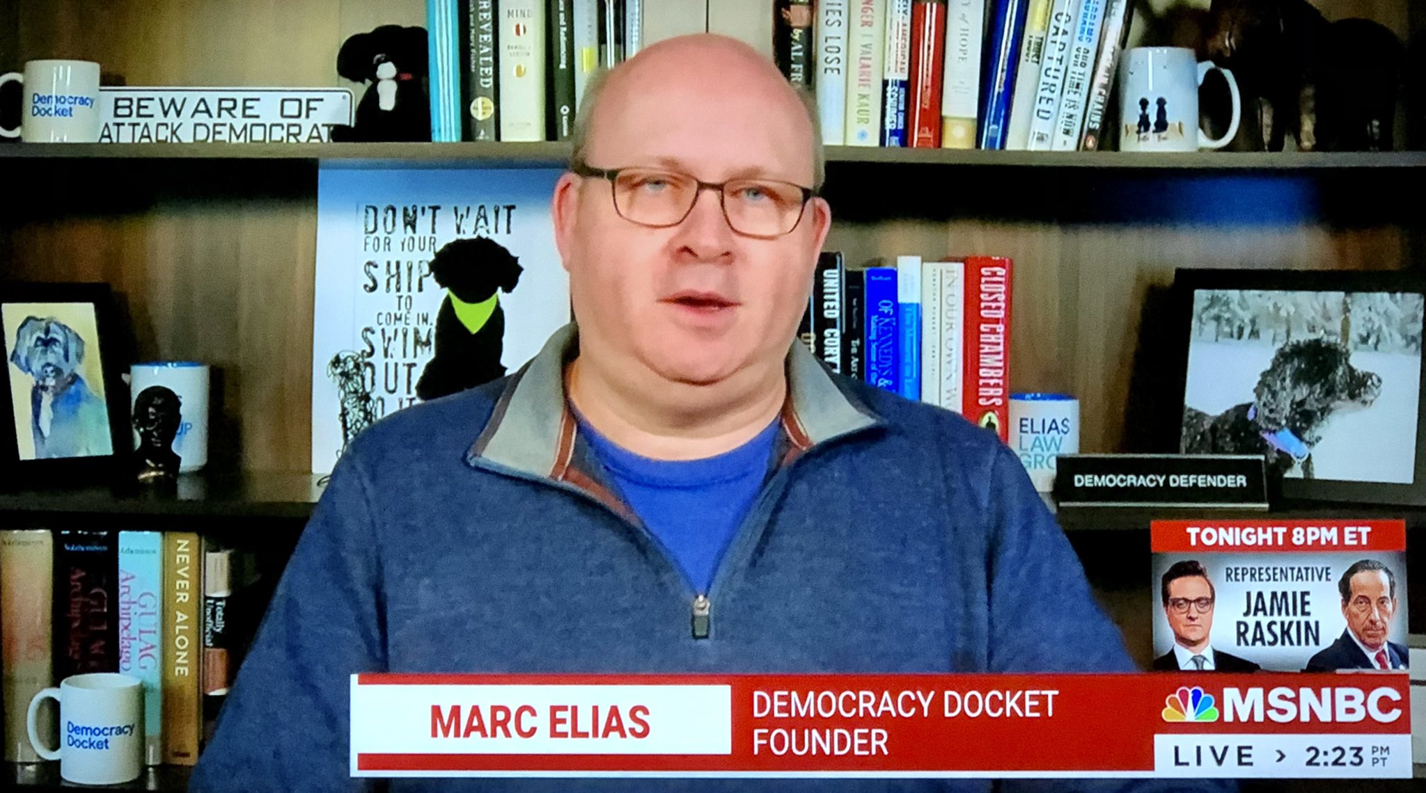 Room Rater on Twitter "Checking in with our Top Portuguese Water Dog