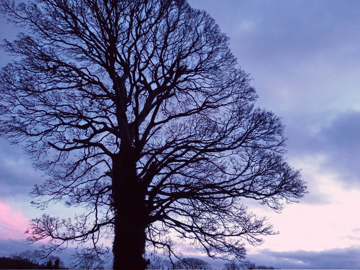 drugelius's tweet photo. Never met a sunset I didn't like
#sunset #Ireland #roaming
#cycking #soloexploring https://t.co/KnwpZ7KcWk