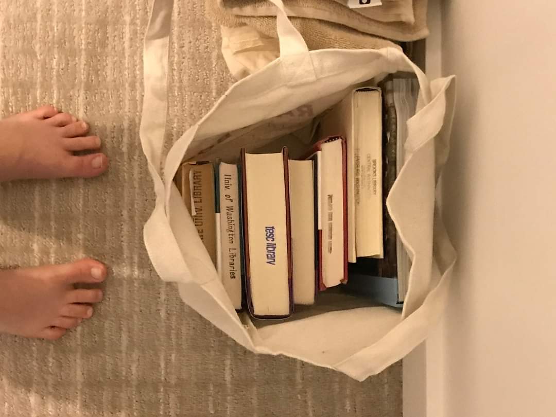 WSULibraries's tweet photo. One of our #WSUPullman librarians took this photo of the seven books she packed for winter break reading and noted that this picture was basically an advertisement for the @OrbisCascade Alliance - "hooray for consortial lending!" https://t.co/8HTOF6s0FH