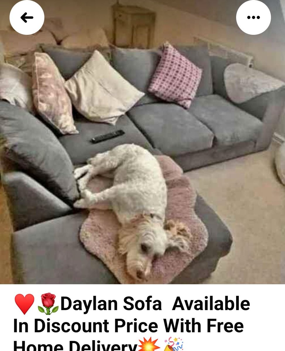 Meow😺 tweet media