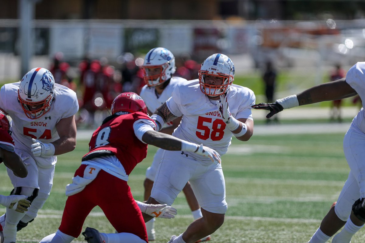 Seth Wilfred tweet media