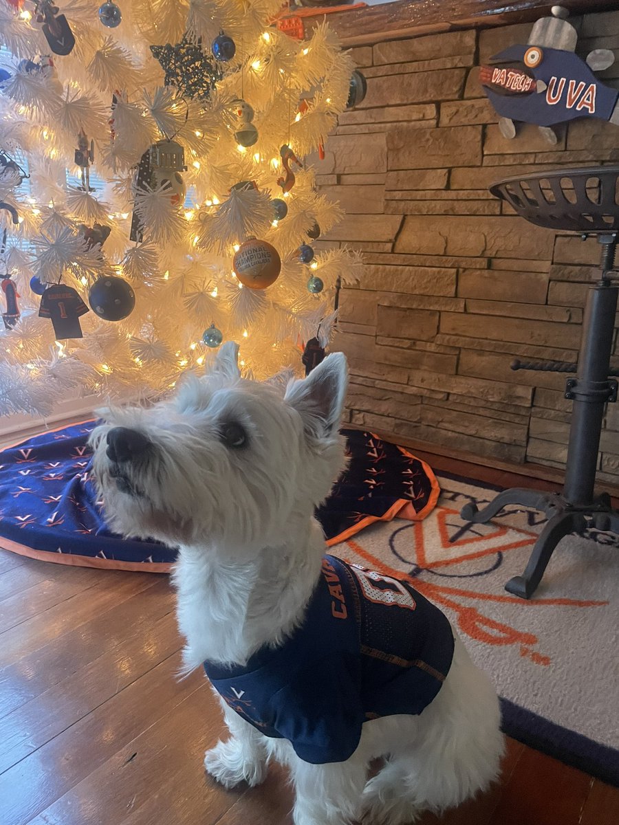 TJ’s ready for a win! <a href="/UVAMensHoops/">Virginia Men's Basketball</a> #GoHoos