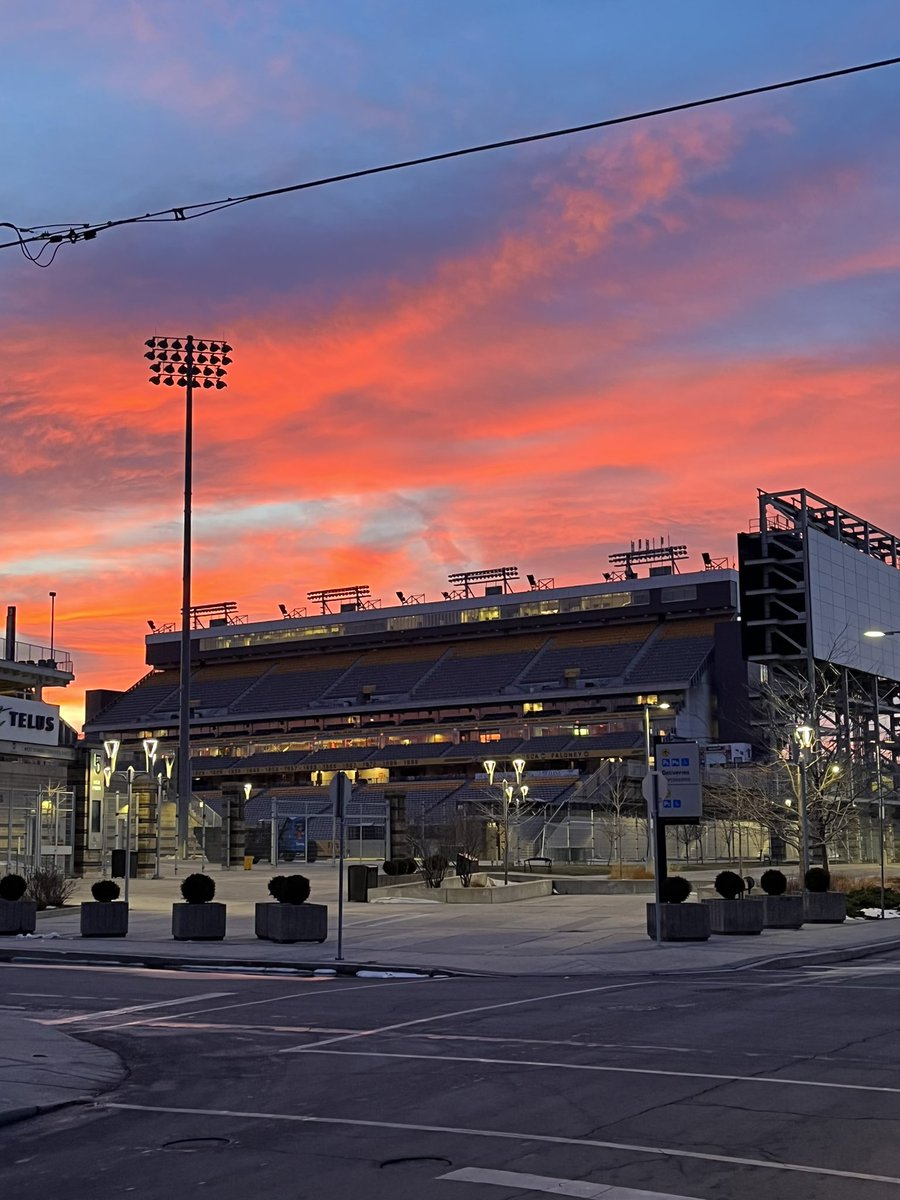 hideepee's tweet image. Is it May yet??? @Ticats