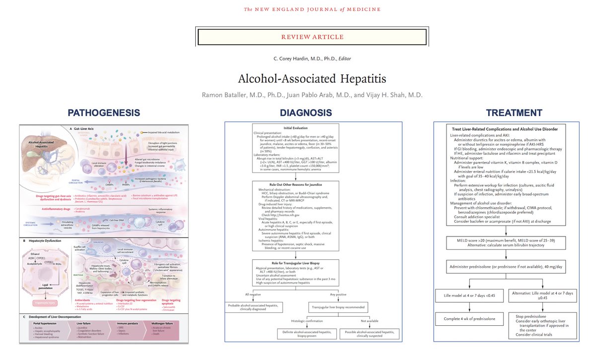Happy to share with you our review on ALCOHOL-ASSOCIATED HEPATITIS, published today in the @NEJM. We dedicate it to all our patients. We will continue to work together to beat it. @Dr_Vijay_Shah @juanpabloarab bit.ly/3jBU16R #LiverTwitter #MedTwitter