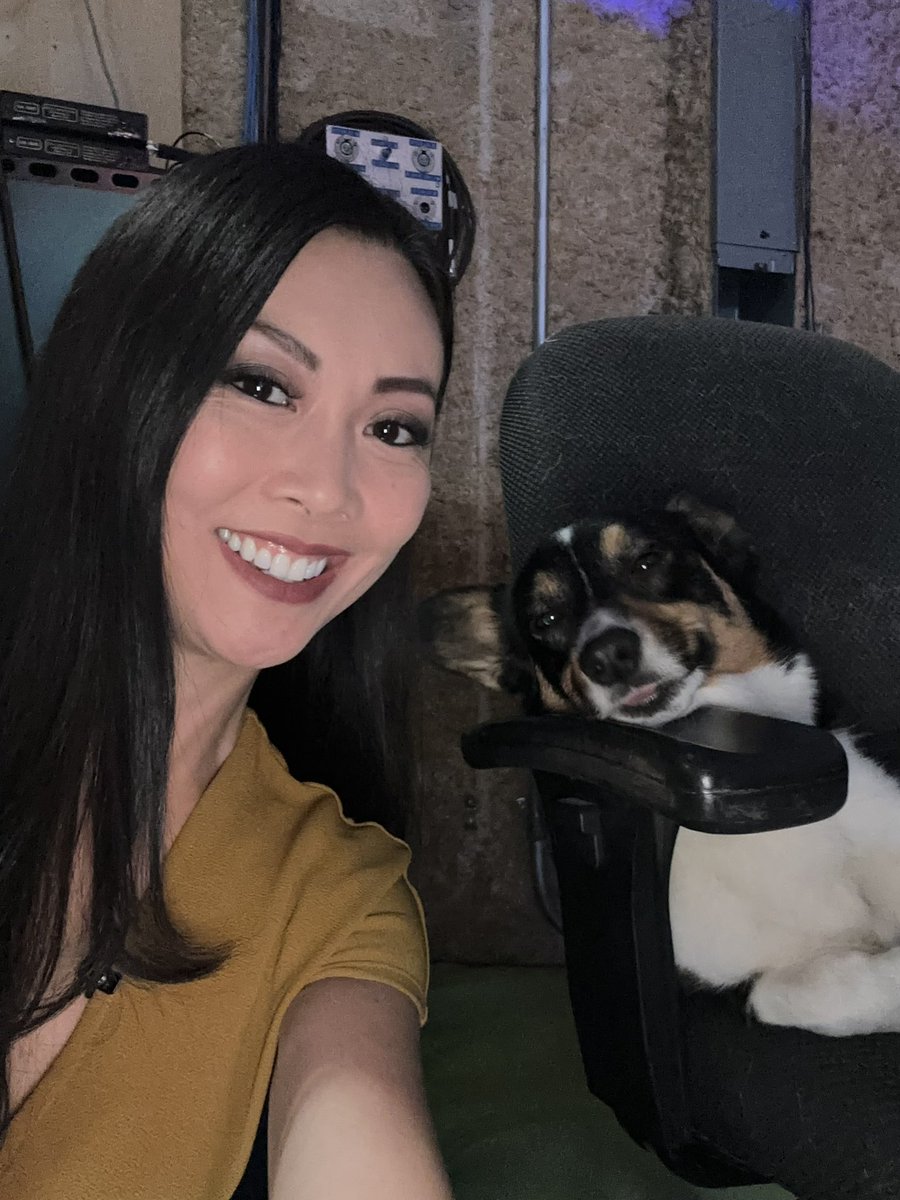 LilyWuKansas's tweet photo. Who’s working with Wu 🐾
#WorkingWednesday #WorkWithWu #12News
@KWCHRoss @KWCH12 https://t.co/osQKN1i5eh