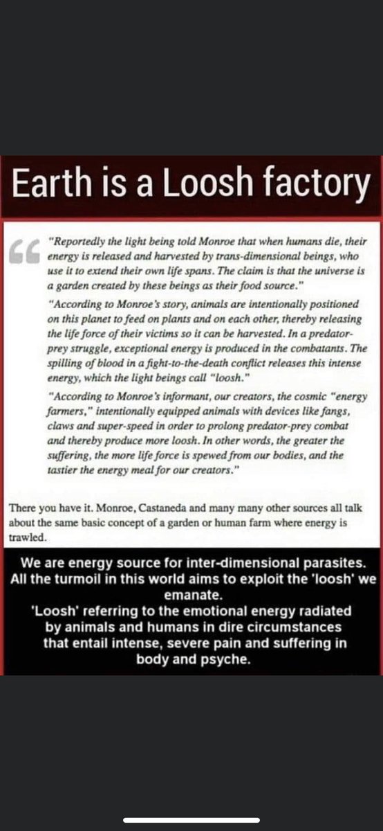 Psyche🦋Aurora tweet media