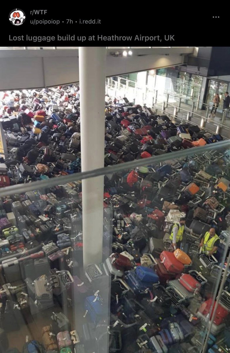 malpal_md tweet media