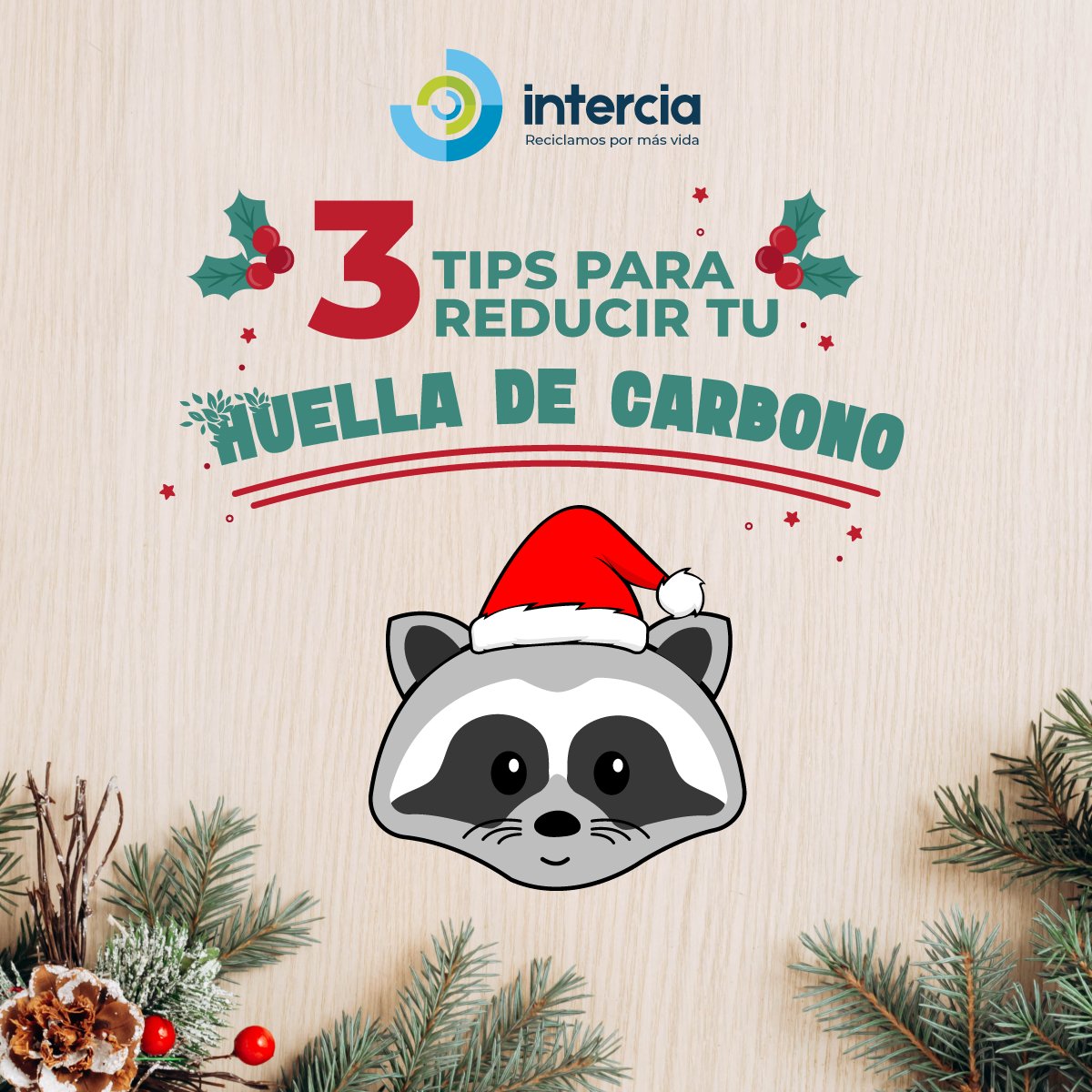 Intercia S.A. tweet media