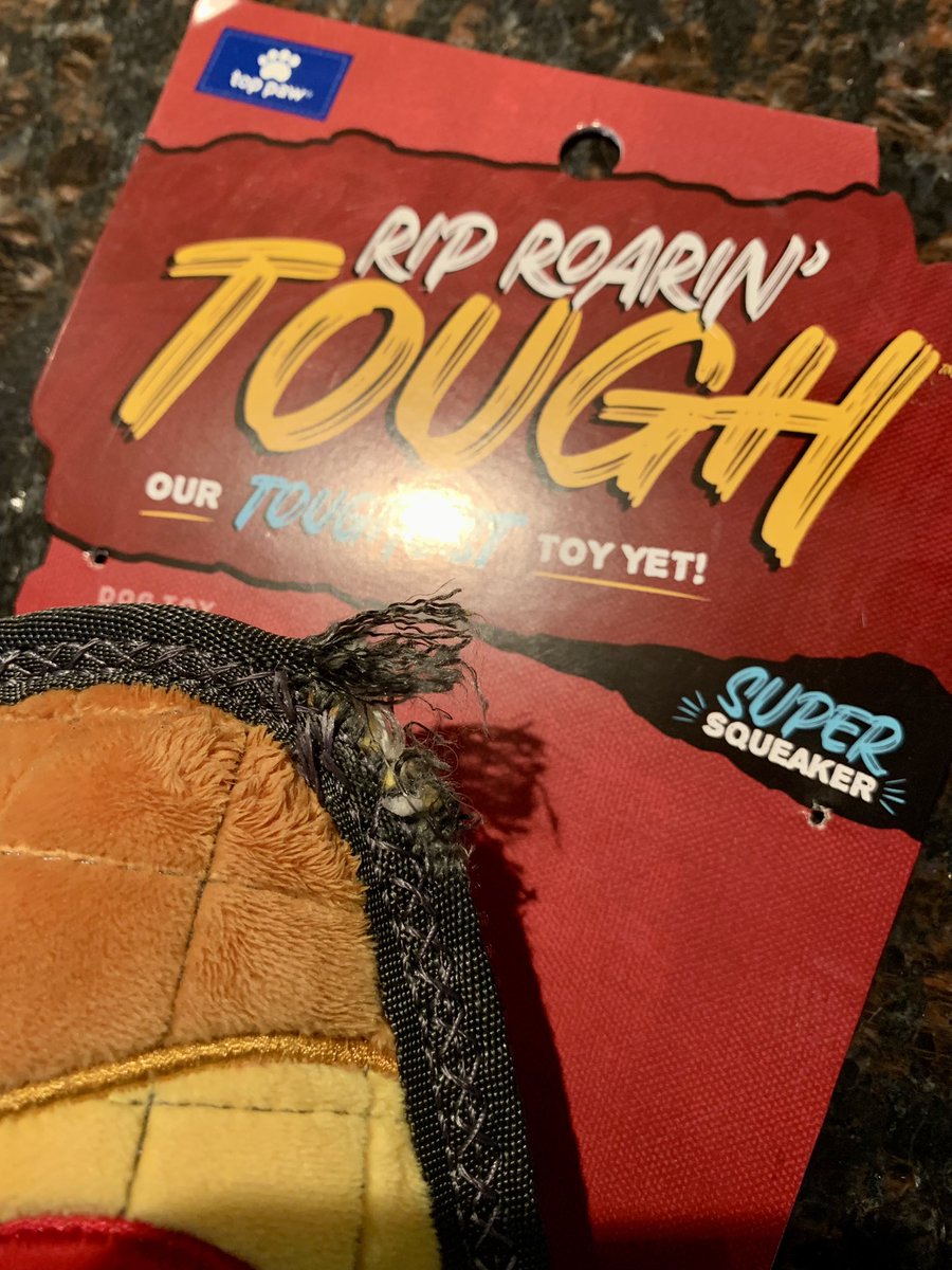 larafrazierkick's tweet photo. It took Gracie about a half an hour to chew through her “super tough” Christmas gift. @PetSmart #toppaw https://t.co/TAxKXZAPxi