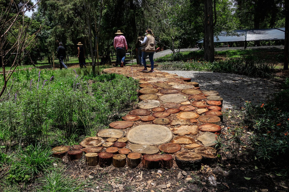 ChapultepecCDMX's tweet photo. #Adiós2022 🥳

Este año se llevó a cabo la rehabilitación ambiental  del Parque Tamayo, además de la modernización del mobiliario y el área de juegos. https://t.co/pyrSSwxpPw