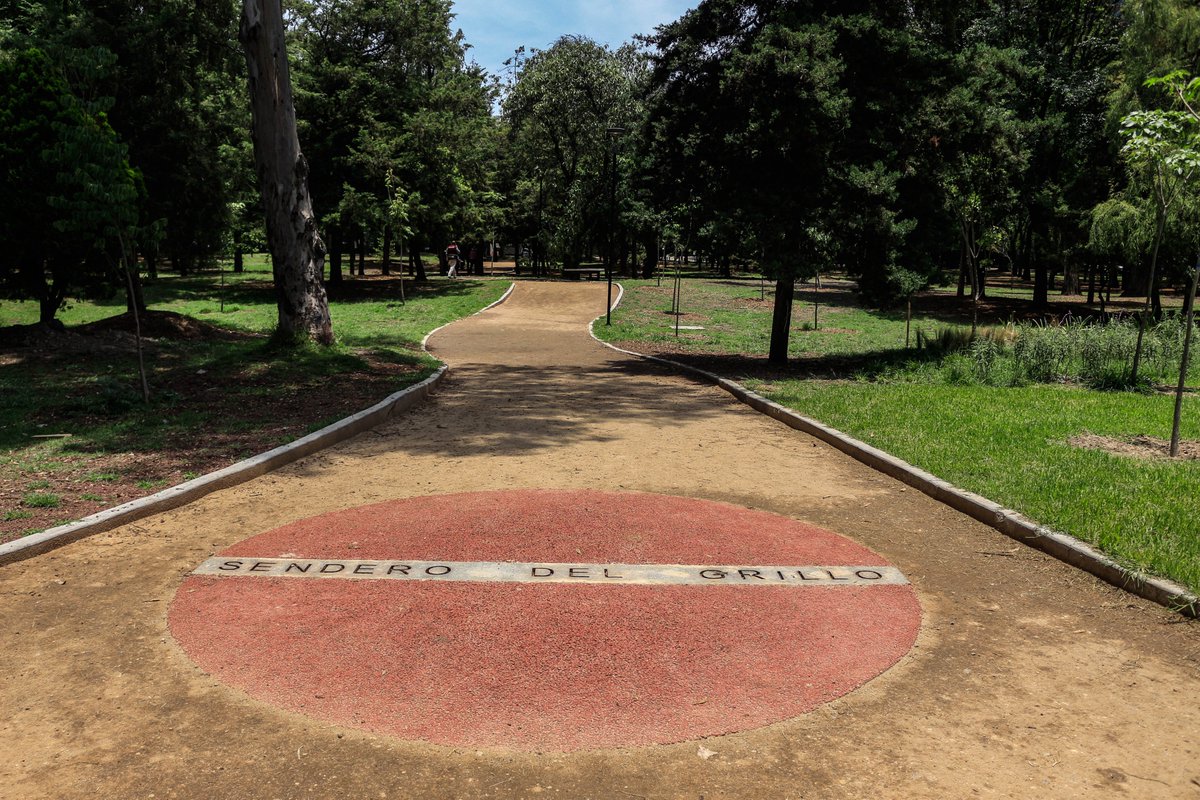 ChapultepecCDMX's tweet photo. #Adiós2022 🥳

Este año se llevó a cabo la rehabilitación ambiental  del Parque Tamayo, además de la modernización del mobiliario y el área de juegos. https://t.co/pyrSSwxpPw