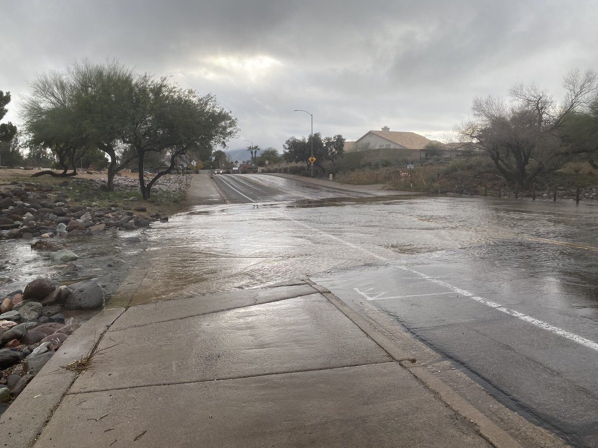 Holly Bock tweet media