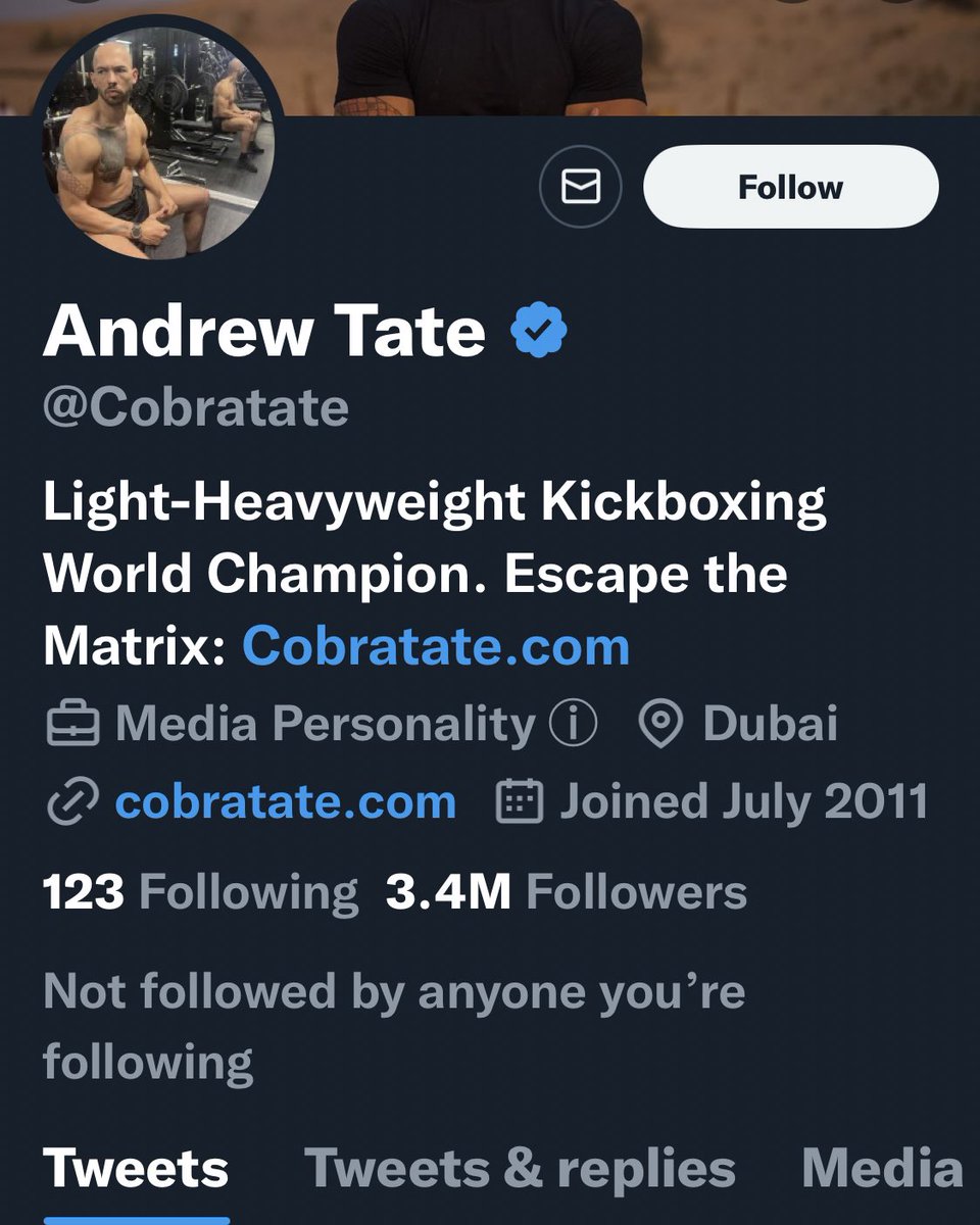 penny2460's tweet photo. Andrew Tate may be a light-heavyweight world champion but did he just get beaten by a 19 year old girl. Yes. Yes he did. #smalldickenergy https://t.co/9hypEfEk6r