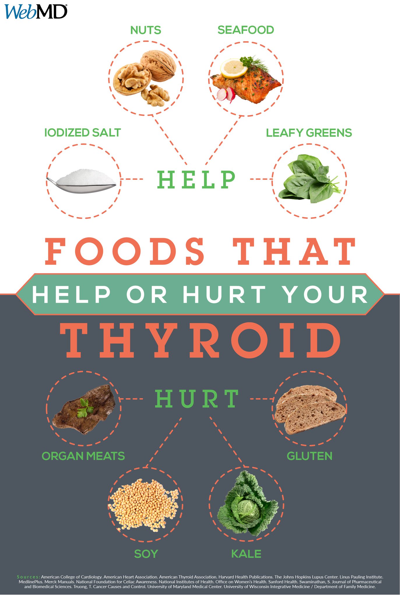 MD on Twitter "What you eat can affect how your thyroid works. Here