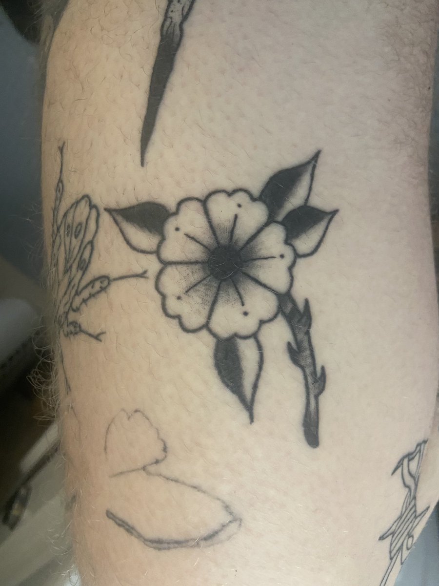 CaldwellTye's tweet photo. i tattoo myself alot lol https://t.co/WYi7YeFDba