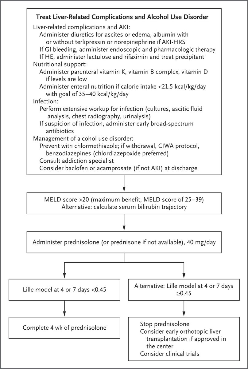 john_damianosMD's tweet photo. Expert review on alcohol-associated hepatitis. 

#MedTwitter #LiverTwitter #Liver #GITwitter #AlcHep #MedEd @NEJM 

https://t.co/HkrQcJCOCN https://t.co/x7gjC7YWVu