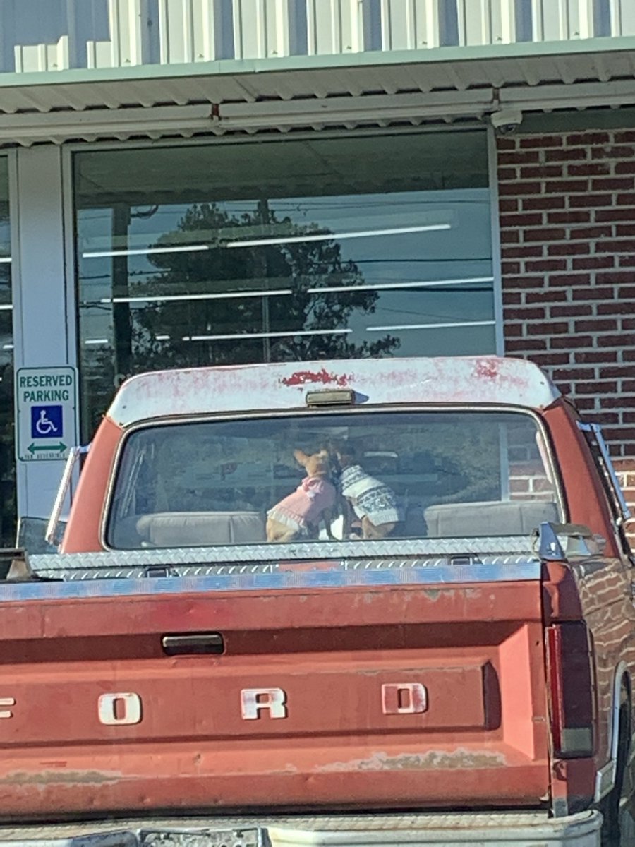 I Saw this the other day. The cutest sh*t everrr omg