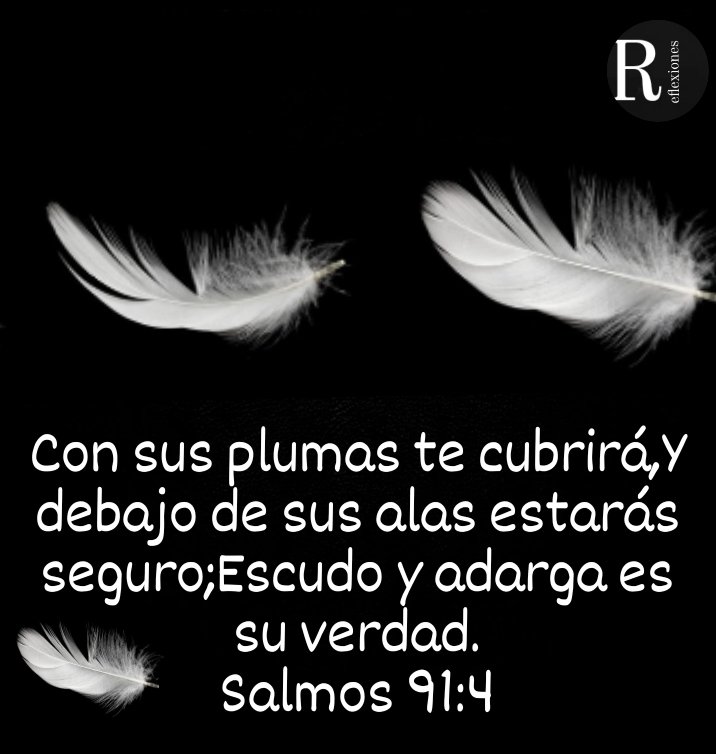 Reflexiones (@reflexiones5962) on Twitter photo 