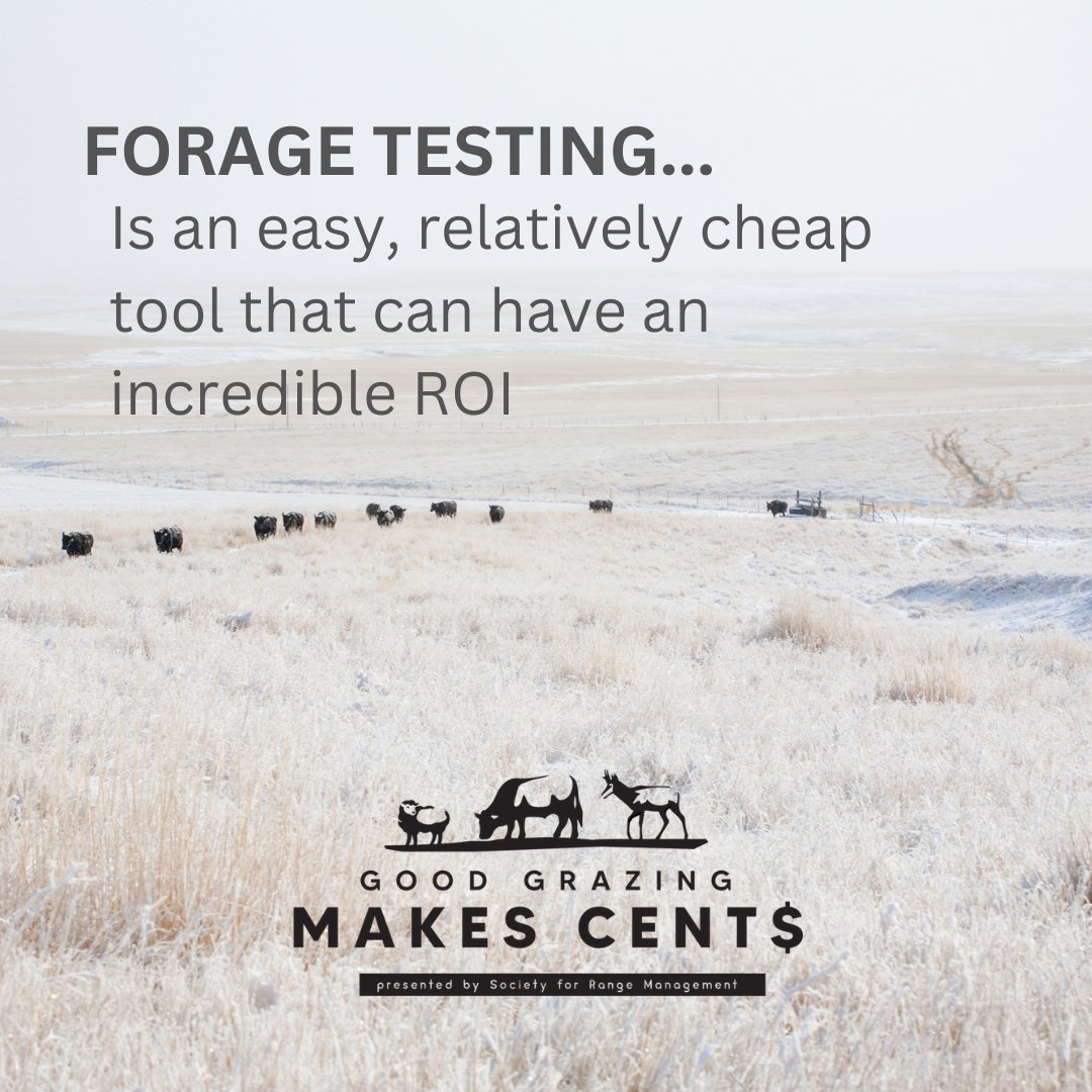 rangelands's tweet photo. Did you see the Forage Testing edition that went out last week?
Want access to more information and resources? Visit https://t.co/NQtk7uli81
#rangeland #goodgrazing #foragetesting #forage https://t.co/x6MRmZsMz0