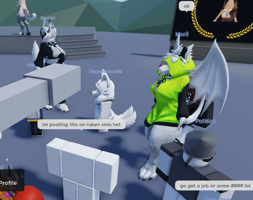 rain_napalm's tweet photo. Powering alot of imagination. (exploiters and furries bypassing packages by making it look like they have roblox boobs) @ModForDummies #moderationfordummies https://t.co/gCnFGfP67e