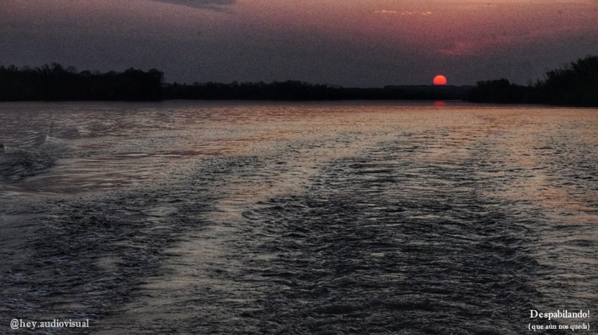 DespabilandoOk's tweet photo. “El río va, corriendo hacia la inmensidad, así como la vida va corriendo hacia la libertad. Y vos y yo, buscando como el río al mar, sabemos que para llegar tenemos que seguir…” (#ElRíoVa #AbelPintos #TeresaParodi).
#Despabilando!
#Zárate #RíoParanáDeLasPalmas #RíoParaná https://t.co/0IoFGB8x0J