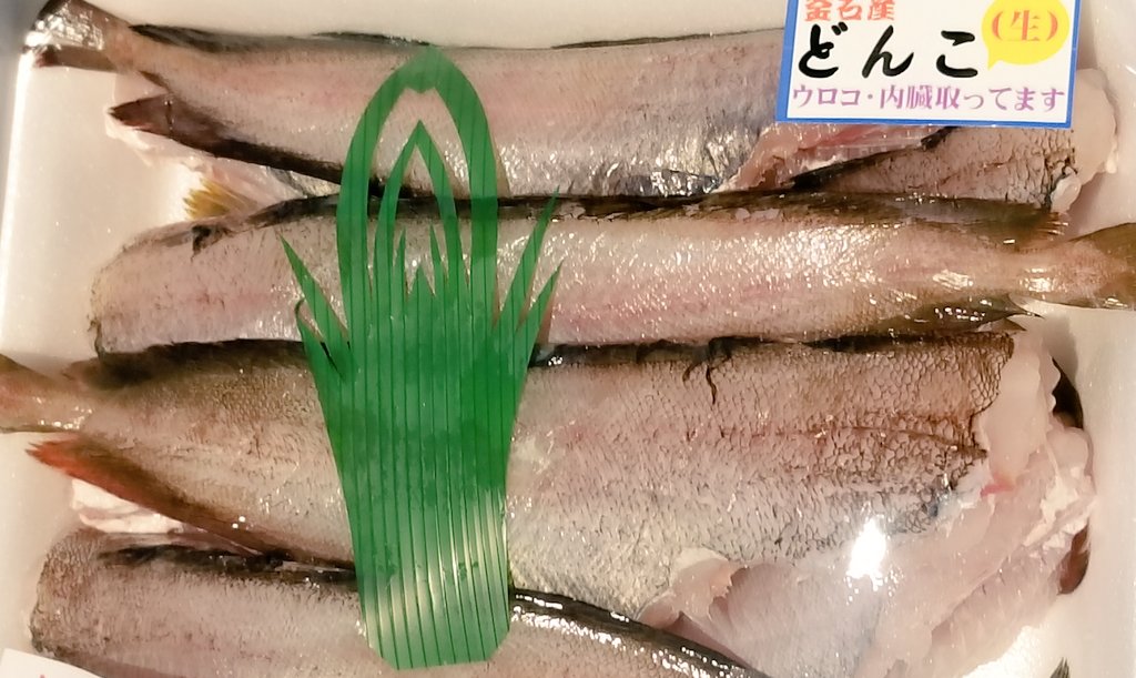 どんこ Twitter Search Twitter どんこ Twitter Search Twitter