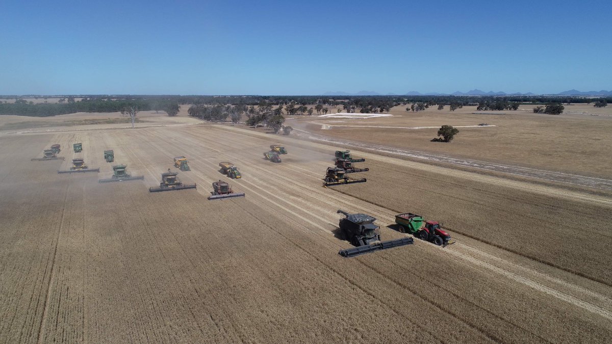 A massive thanks to everyone &amp; <a href="/AgwestM/">Agwest Machinery</a> that helped out yesterday to get the Tambellup Community Crop off. 1160 ton all up, bringing the yield to 4.6t/ha. Thanks also to everyone that helped throughout the year to make it all happen. A very good result. Cheers 👍👍