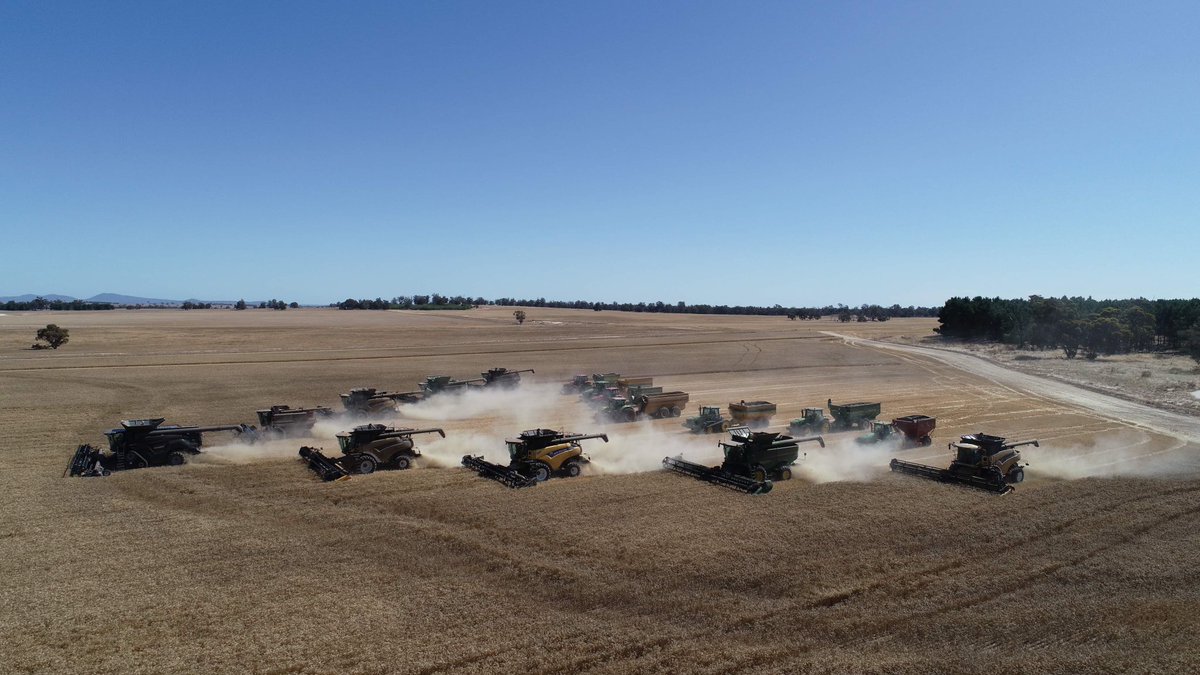 Neil Letter tweet media