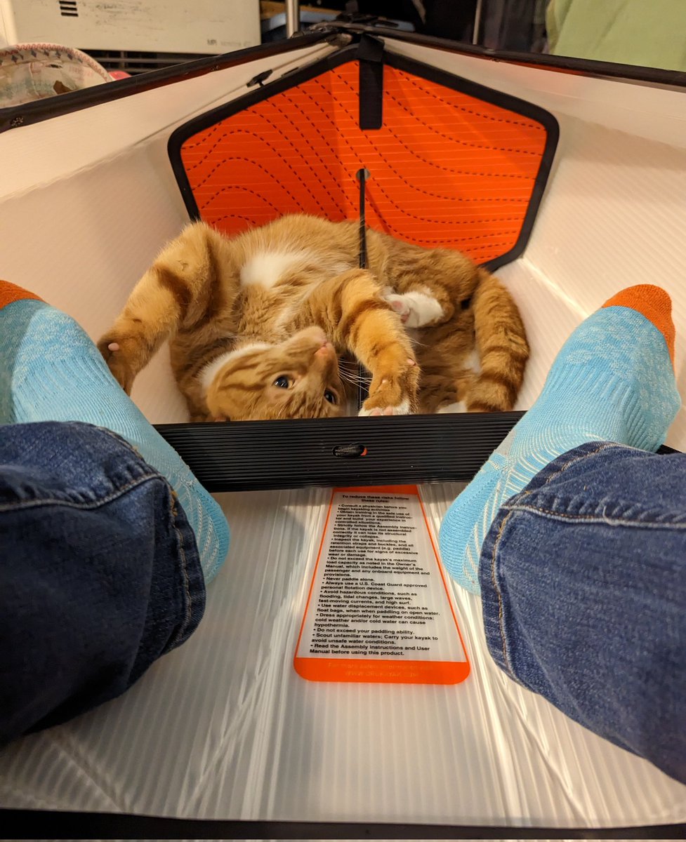 wilderanne's tweet photo. The second time setting up my new Beach LT I did it in 10 minutes, even with my helper! 😺 @orukayak https://t.co/QLoh0sIqwT