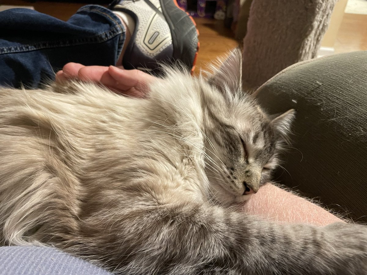 Sleepy Pip.