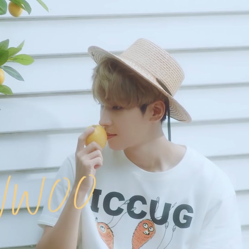 wonwoo pics on my phone tweet media