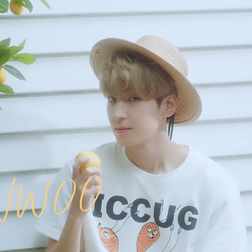 wonwoo pics on my phone tweet media