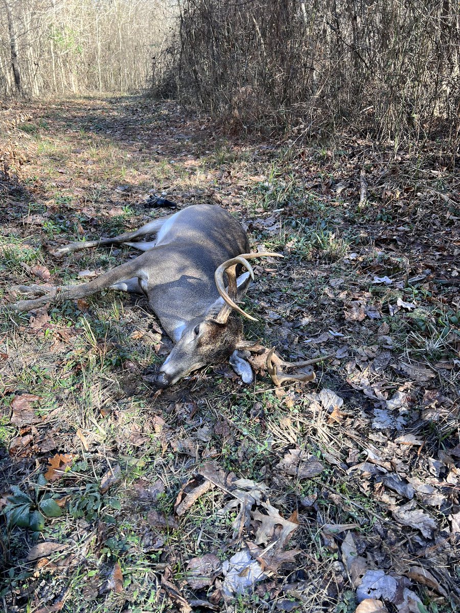 ThejbakerERA's tweet photo. Delayed Tweet from Monday Morning…(no service at hunting camp)
Hunting is a lot like YOGA…except you get to kill things! LOL! 🤣 I’m kidding! 😉 Kind of! Just an awesome day in nature! #BBD #hogpatrol #checkoutthelocation https://t.co/CAKYj4PNzV
