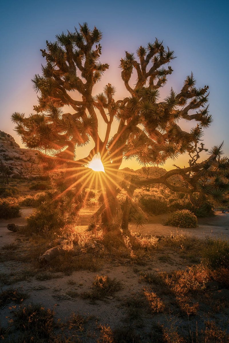 "الشتاء مؤكد انه شديد البرودة ...لمن لا لديه ذكريات دافئة "

آن برادستريت
شاعرة امريكية