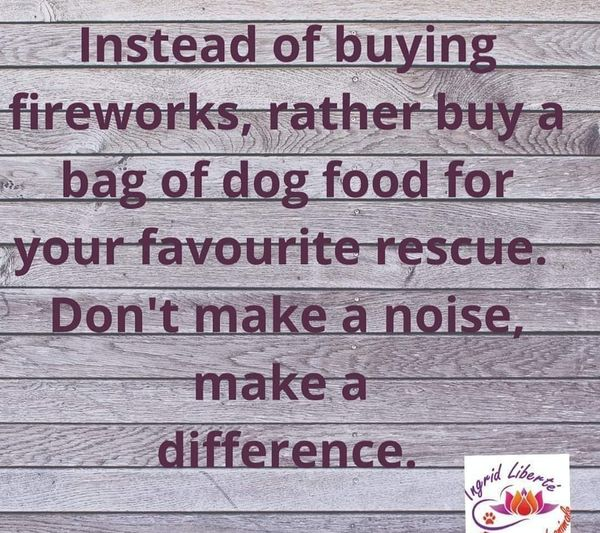 Mufasa0062's tweet image. Just do it, do it.