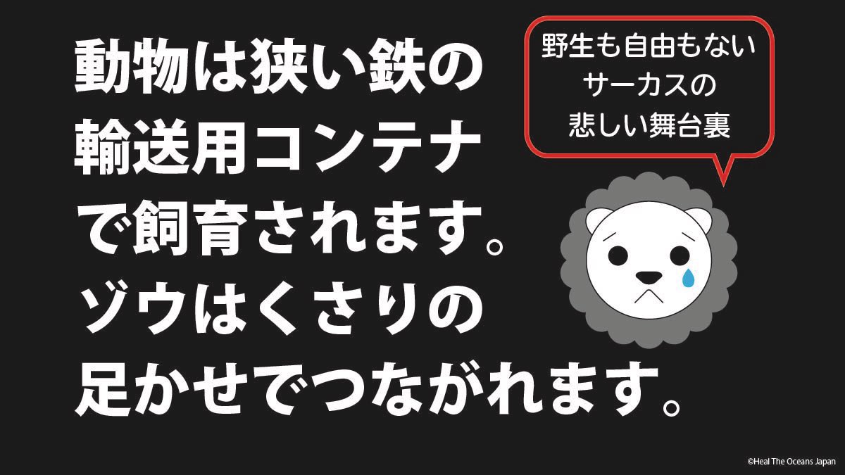 team4wild's tweet photo. 繁殖で生まれて、草原もたくさんの仲間も知らないサーカスの動物たち。
東南アジアやアフリカにいるはずの動物たちが今日も #立川市 の寒空の下にいる。狭い施設とステージの日々。
#動物のいないサーカスを #木下大サーカス #木下サーカス #読売新聞 #報知新聞 #日本テレビ #立飛ホールディングス https://t.co/rJa65YQgUr