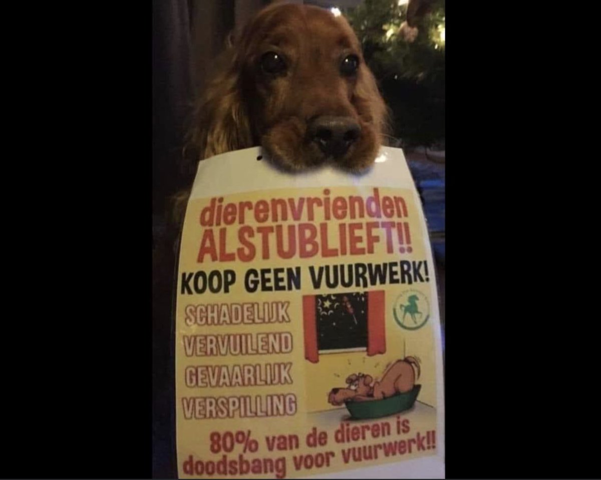 BewBouwAlmB's tweet photo. Niet dat ik verwacht dat mensen zich hier nog veel van aantrekken, maar ach…… doe het toch maar weer.
#dierenleed #katten #honden #vogels #vee #egels
#mensenleed #gezondheid #zorg
#milieuleed #smog #zwerfafval
#schades #vernielingen #agressie #teveeldrank
#vuurwerk https://t.co/giIyIt4cBm