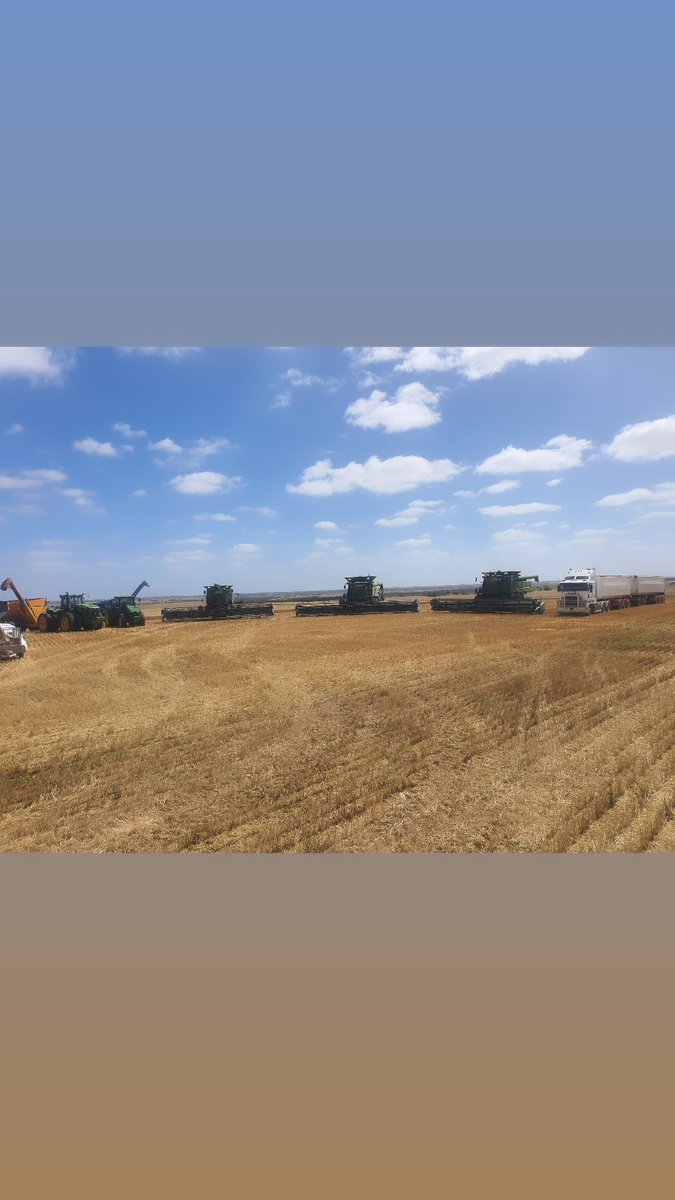 Aidan Dolphin tweet media