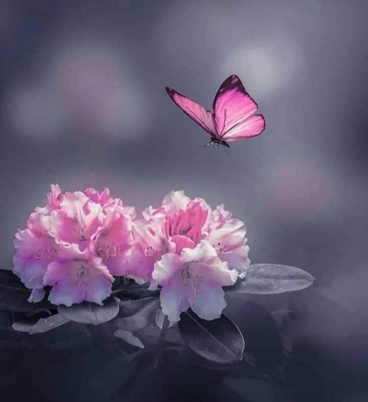 صباحو 💜
صباح السلام لقلبي وَ لكم وَ للحياة🌱