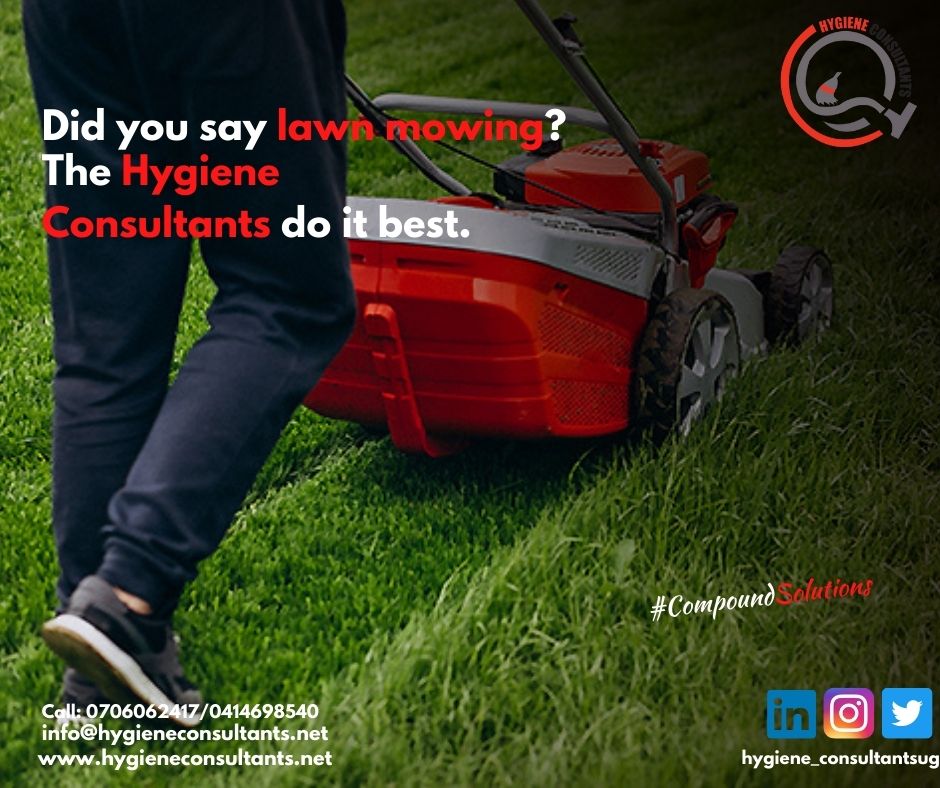HConsultantsug's tweet image. Did you say lawn mowing? #Hygieneconsultantsug do it best. Refresh your compound with us. Contact/ Whatsapp us on 0706062417 or send us an email: info@hygieneconsultants.net
#Compoundsolutions
hygieneconsultants.net