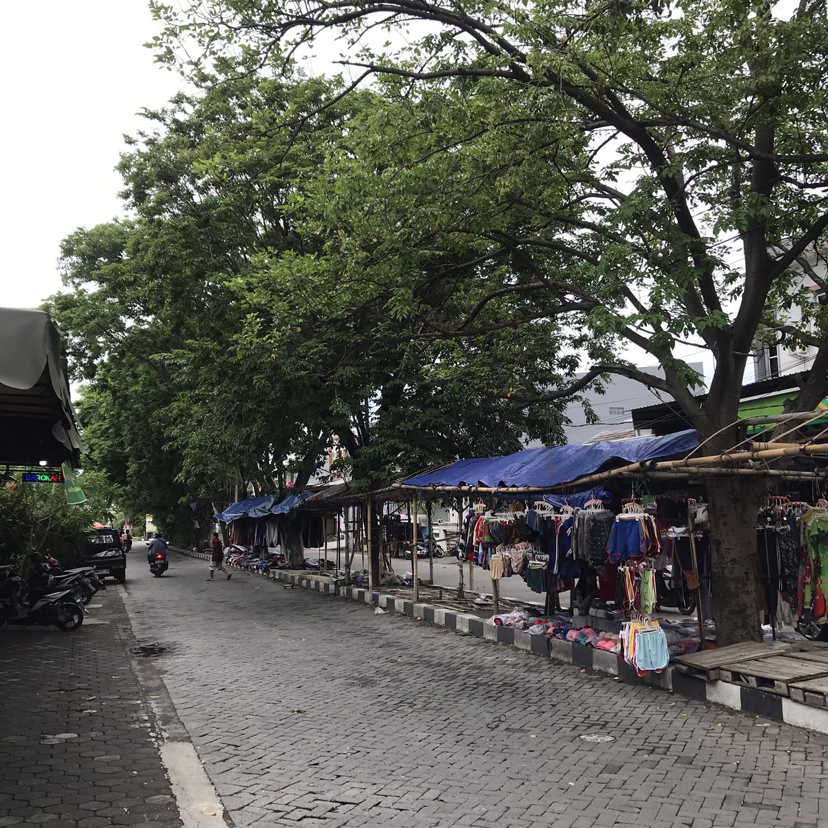 Izin lapor @sapambakita <a href="/disperkim_smg/">DISPERKIM Kota Semarang</a> untuk pengrapian pohon yang ada di sepanjang Jl. Gajah Birowo besar yang mulai membahayakan. Selain karena rawan patah, juga bahaya terjadi konsleting selama musim hujan. Terima kasih. ~