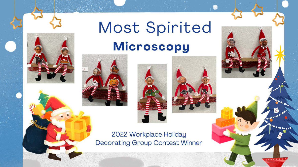 Biocept's tweet photo. We’re simply having a wonderful festive thyme! Thanks to all those who made our space feel jolly during our holiday workplace decorating contest and congratulations to our winners! (Part 2) https://t.co/WgvbGuSBWX