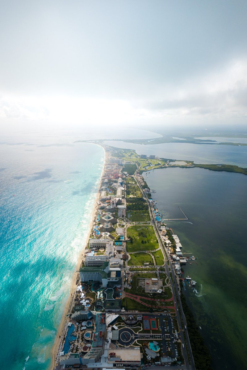 Mauricio Nader tweet media