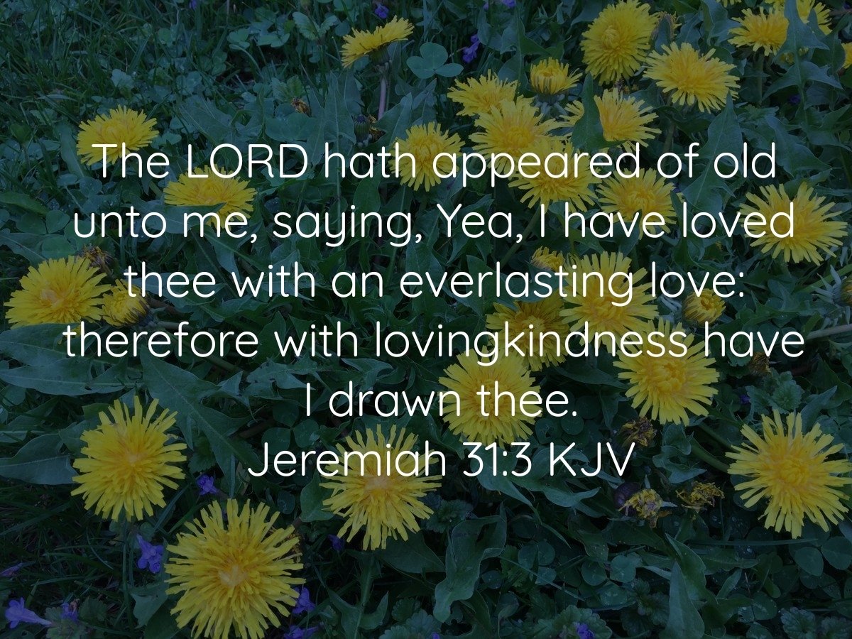 OutdoorTrim's tweet photo. The LORD hath appeared of old unto me, saying, Yea, I have loved thee with an everlasting love: therefore with lovingkindness have I drawn thee.
Jeremiah 31:3 KJV https://t.co/8UQrpIan1s