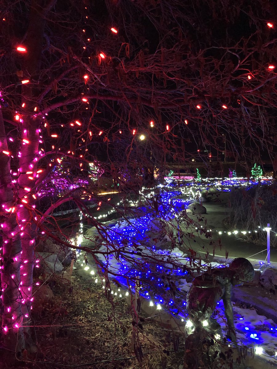 RachieMargaret's tweet photo. I’d heard there were more lights this year in @QCBotanical’s Winter Nights Winter Lights, but wow! 🤩 #QCThatsWhere https://t.co/oIAw75enUB