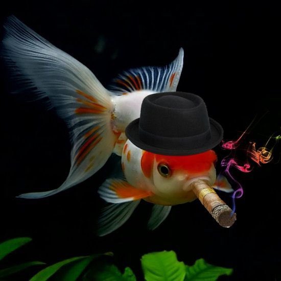 my new years resolution is going to be to quit smoking but damn I look good in these